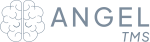 Angel TMS